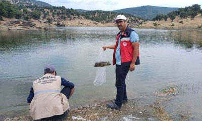 Kütahya’da 5 milyon 423 bin 150 adet balık iç su kaynaklarına bırakıldı