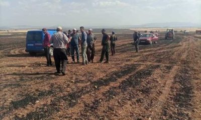 Altıntaş’ta çıkan yangında yaklaşık 3 bin dekar ekili alanda zarar gördü
