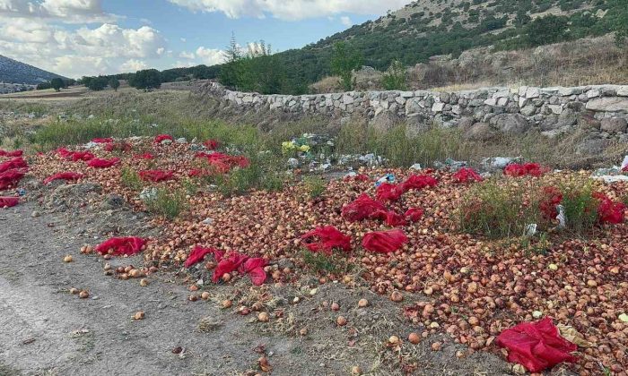 Yaklaşık 2 ton kuru soğanı boş araziye döküp gittiler