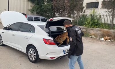 Kütahya’da uyuşturucu operasyonunda 160 bin adet ecstasy hap ele geçirildi