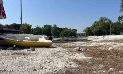 Sakarya Nehri’nin doğduğu Sakaryabaşı’nda sular çekildi