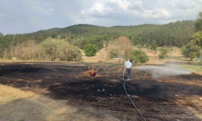 Emet’te mangal ateşinden çıkan yangından 2 dönüm ekili alan zarar gördü
