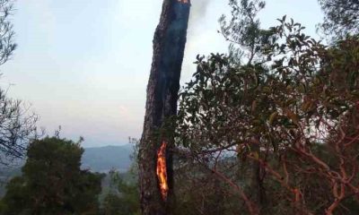 Yıldırımın neden olduğu yangın kısa sürede söndürüldü