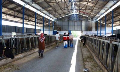 Kütahya’da KKYDP 15. etap projelerinin yatırım yeri kontrolleri