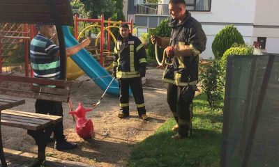 Çocuk oyun alanında yılan paniği