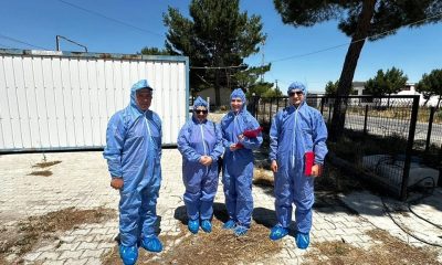 Başmakçı’da tavuk ve yumurta üretim merkezlerine yönelik denetim