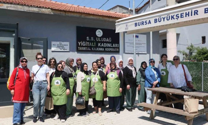 ’Yukarı Sakarya Havzası’nda Arazi Tahribatını Dengeleme Projesi’ devam ediyor