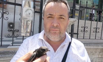 Ayağına ip takılmış ebabil kuşu Doğa ve Milli Parklar yetkililerine teslim edildi