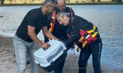 Gölette ayağına ip dolanan karabatak kurtarıldı