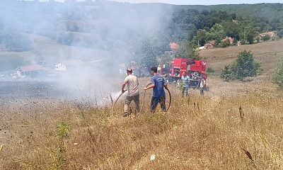 Bilecik’te çıkan ot yangınında 1 kişi hastanelik oldu