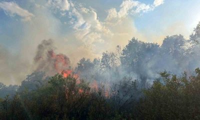 Afyonkarahisar’da dağlık alanda çıkan yangın söndürüldü