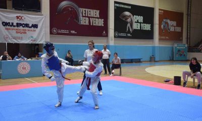 Taekwondo il seçmesi tamamlandı
