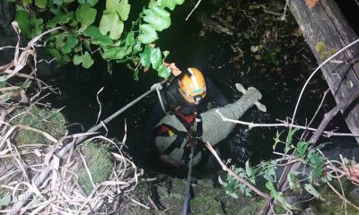 Bilecik’te su dolu çukura düşen koyun kurtarıldı