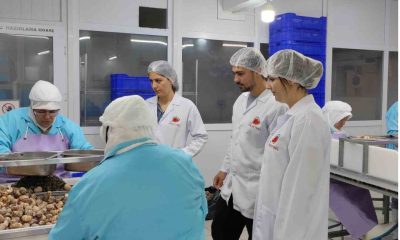Bilecik’ten Fransa’ya ihracat yapan tesis denetlendi