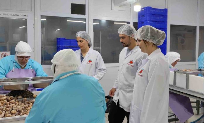 Bilecik’ten Fransa’ya ihracat yapan tesis denetlendi