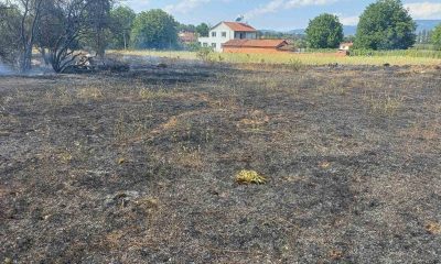 Pazaryeri’nde çıkan arazi yangını korkuttu