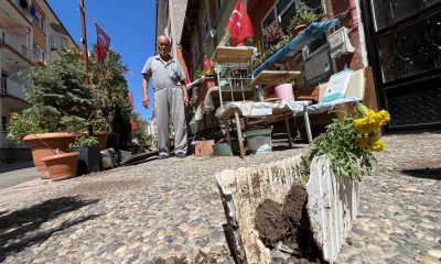 Sevgililer ve Aşıklar Parkı talan edildi
