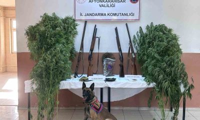 Zehir tacirlerinin sobaya sakladıkları esrarı narkotik köpeği buldu