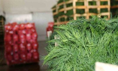 Eskişehirli çiftçilerin ihracat başarısı