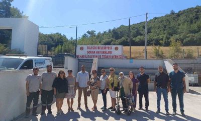 Kent Konseyi’nden Sokak Hayvanları Tedavi ve Rehabilitasyon Merkezine ziyaret