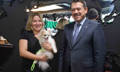 Eskişehir’de şiddet gören köpeği zabıt kâtibi sahiplendi