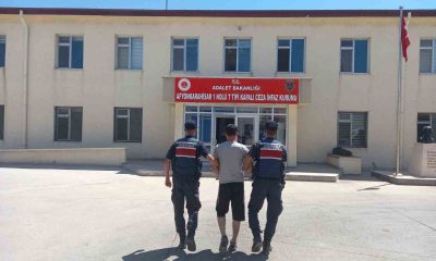 Aranan şahsın saklandığı yer jandarmayı bile şok etti