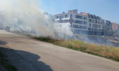 Ot yangını itfaiye tarafından büyümeden söndürüldü