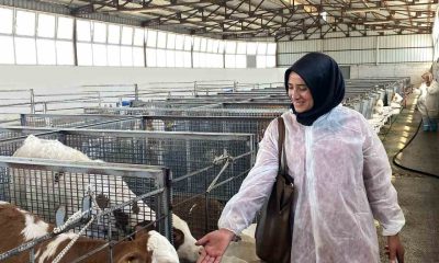 Ardahanlı süt üreticisi kadınlar Afyonkarahisar’ı ziyaret etti