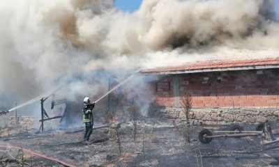 Tavşanlı’da ot yangını boş besi damına sıçradı