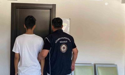 Bilecik’te düzensiz göçmen operasyonu