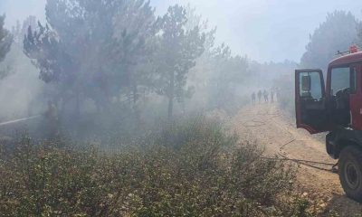 Afyonkarahisar Kırka’da orman yangını