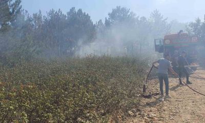 Valilikten Kırka yangını ile ilgili açıklama