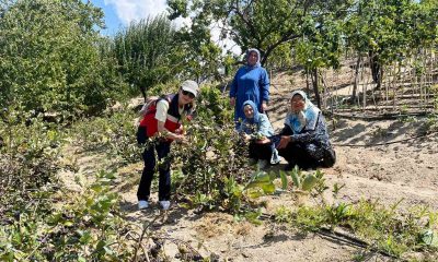 Kütahya’da ahududu üreticisi kadınlar Bursa Tarım İşletmesinde