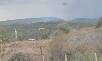 Tavşanlı Tunçbilek’te yıldırım düşmesi sonucu orman yangını