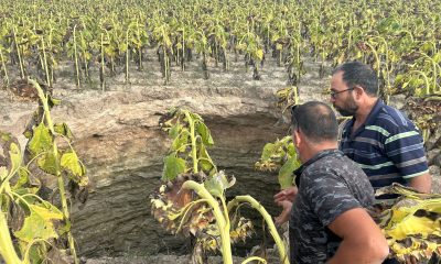 Eskişehir’de dev obruk oluştu