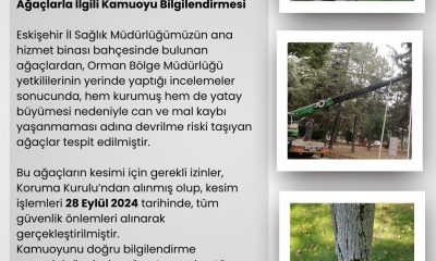 Eskişehir İl Sağlık Müdürlüğü’nün bahçesindeki riskli ağaçlar kesildi