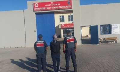 15 yıl hapis cezası ile aranan şahsı jandarma yakaladı