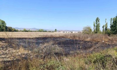 Tavşanlı’da arazide çıkan yangın kısa sürede söndürüldü