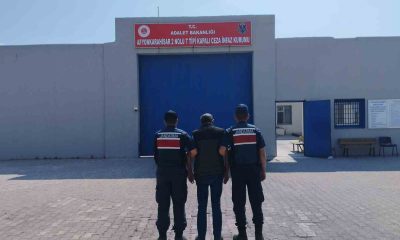 Kenevir ektiği için 4 yıl hapis cezasıyla aranan şahsı jandarma yakaladı