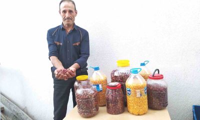 Hisarcık’ta olta balıkçısı balık yemini kendisi üretiyor