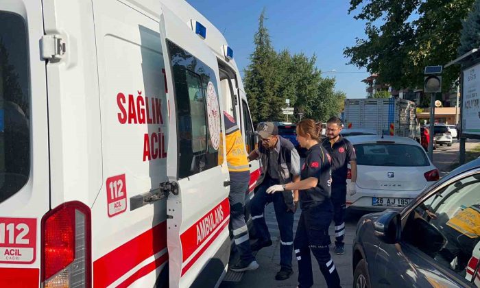 Köpek saldırısına uğrayan park görevlisi yaralandı