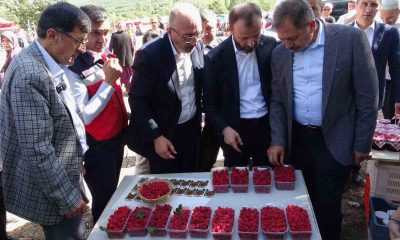 Kütahya’da ’Ahududu Şenliği’ renkli görüntüler oluşturdu