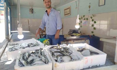Yasak kalktı, tezgahlar balık doldu, fiyatlar uygun