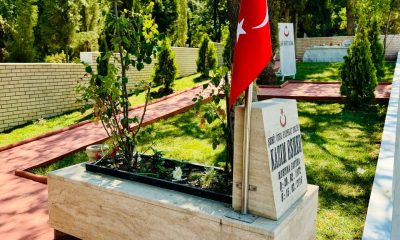 Söğüt İlçe Mezarlığında şehitlik yenilendi