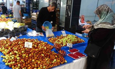 Şifa deposu hünnap tezgahlarda yerini aldı