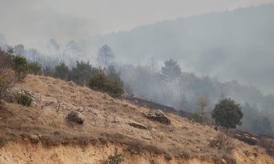 Komşu’da korkutan orman yangını (Video Haber)