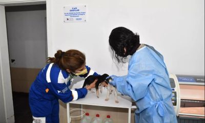 OEDAŞ, ‘Can Dostlar’ için STK ve yerel yönetimlerle iş birliği yapıyor