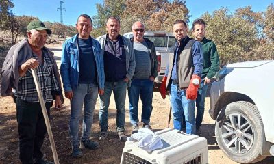 Yaralı halde bulunan hayvanlar koruma altına alındı