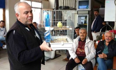 Kütahya’da kuş meraklıları mezatta buluşuyor