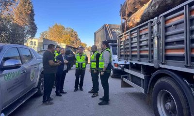 Orman kaçakçılığına karşı mobil kontroller devam ediyor